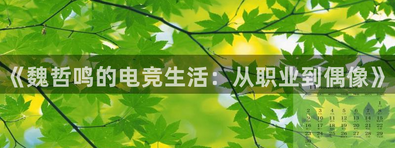 乐竞电竞源码：《魏哲鸣的电竞生活：从职业