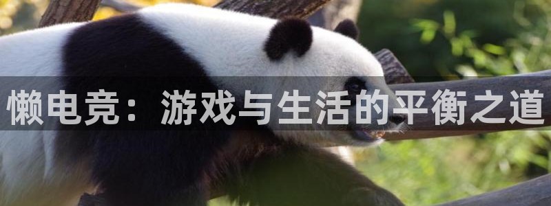 乐竞电竞官网蹿55kaivip：懒电竞：