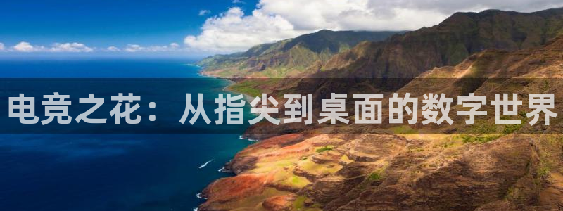 乐竞电竞是什么公司