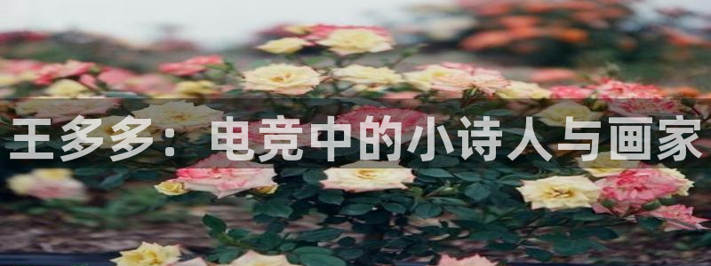 乐竞电竞登录网页入口全新版