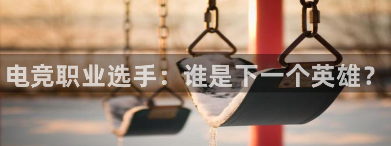 乐竞电竞入口app版：电竞职业选手：谁是