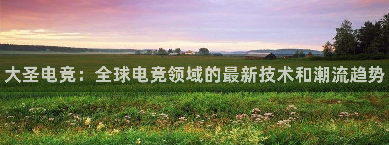 乐竞电竞官网app下载入口：大圣电竞：全