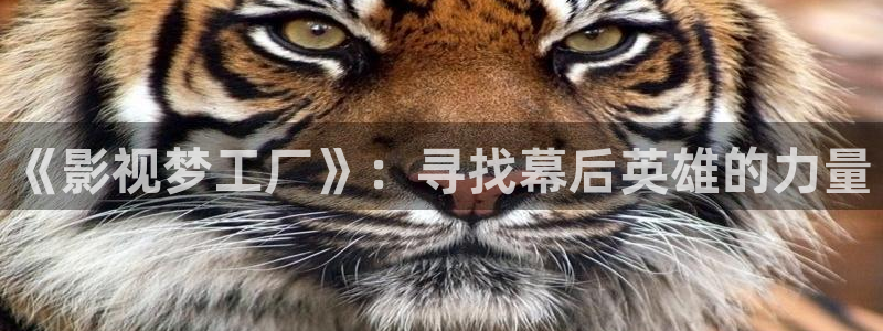 午夜大象影院：《影视梦工厂》：寻找幕后英雄的力量