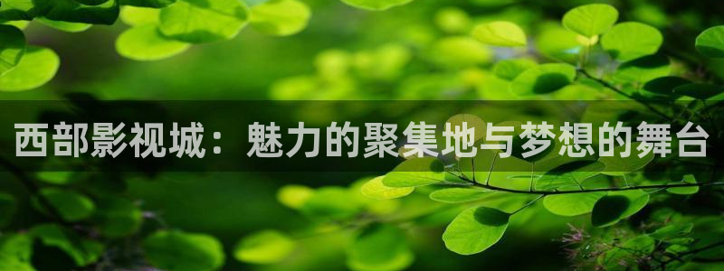 韩国电影顶楼的大象未删减版：西部影视城：魅力的聚集地与梦想的舞台