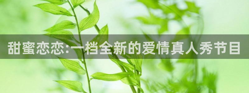 大象视频在线播放免费观看电视剧：甜蜜恋恋:一档全新的爱情真人秀节目