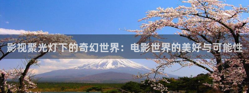 顶楼的大象韩国电影完整版：影视聚光灯下的奇幻世界：电影世界的美好与可能性