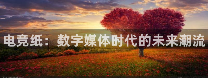 乐竞电竞和泛亚电竞：电竞纸：数字媒体时代