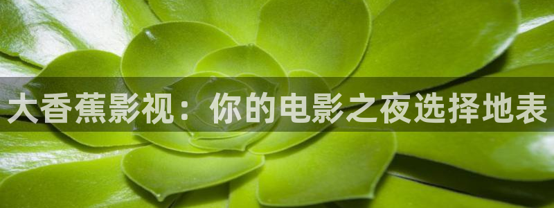 大象影院