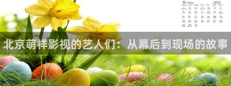 顶楼的大象韩国电影完整版：北京萌样影视的艺人们：从幕后到现场的故事