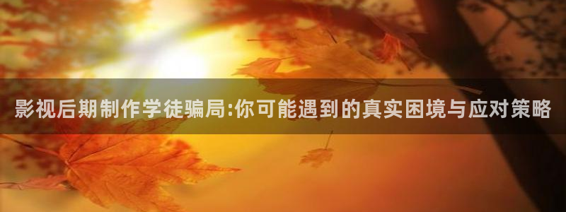 大象影视