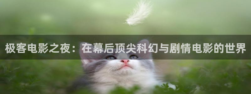 大象视频在线播放免费观看电视剧