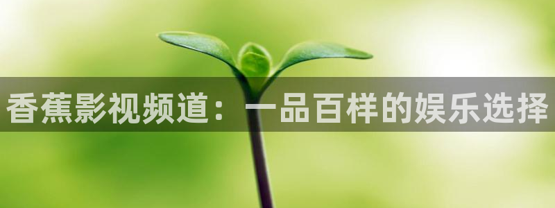 大象影视