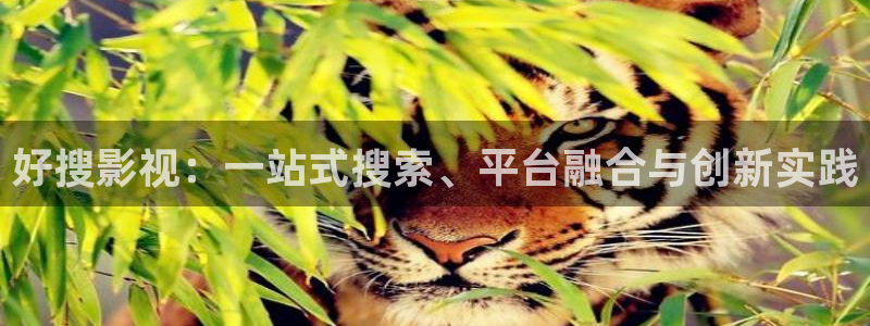 韩国限制级电影顶楼的大象