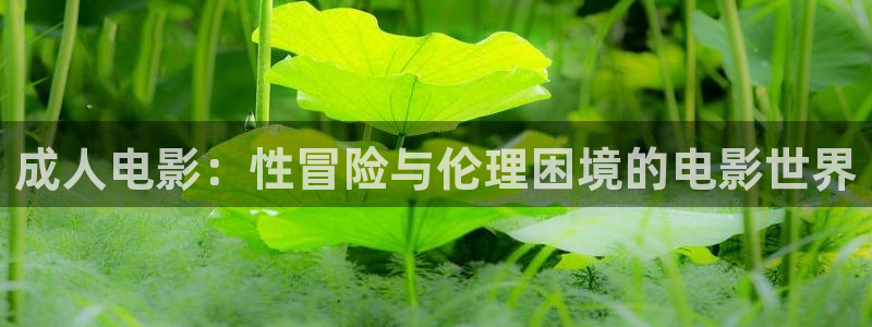 大象影院在线播放
